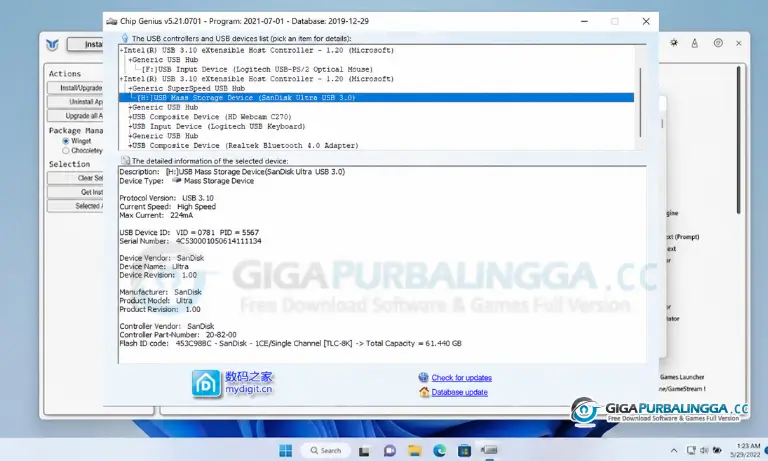 download ChipGenius